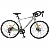 BICICLETA PROFIT RUTA/GRAVEL ASTORIA RIN700 X1 – 2X9VEL