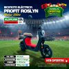 Bicicleta Eléctrica Profit Roslyn - Motor 350W/25 Km/h