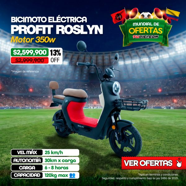 Bicicleta Eléctrica Profit Roslyn - Motor 350W/25 Km/h
