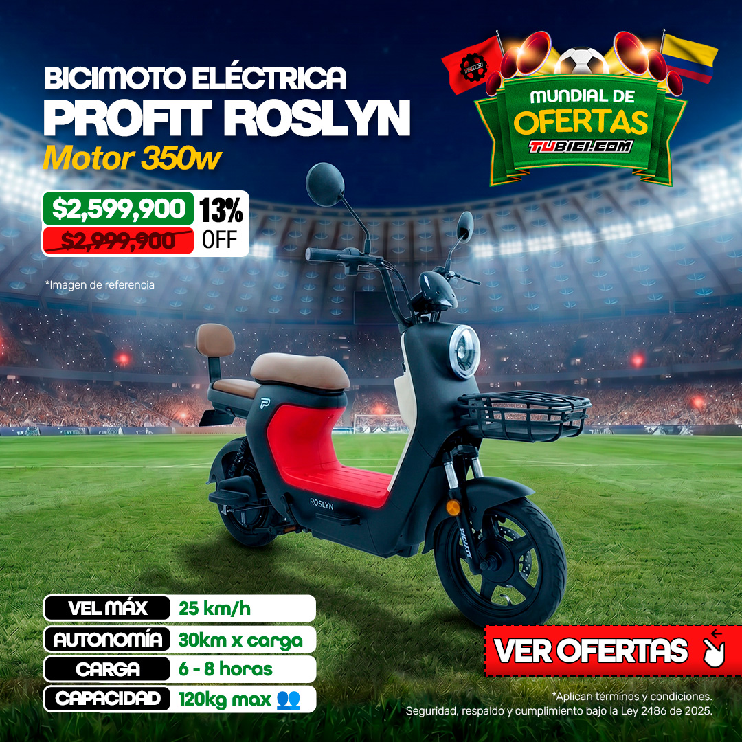 Bicicleta Eléctrica Profit Roslyn - Motor 350W/25 Km/h