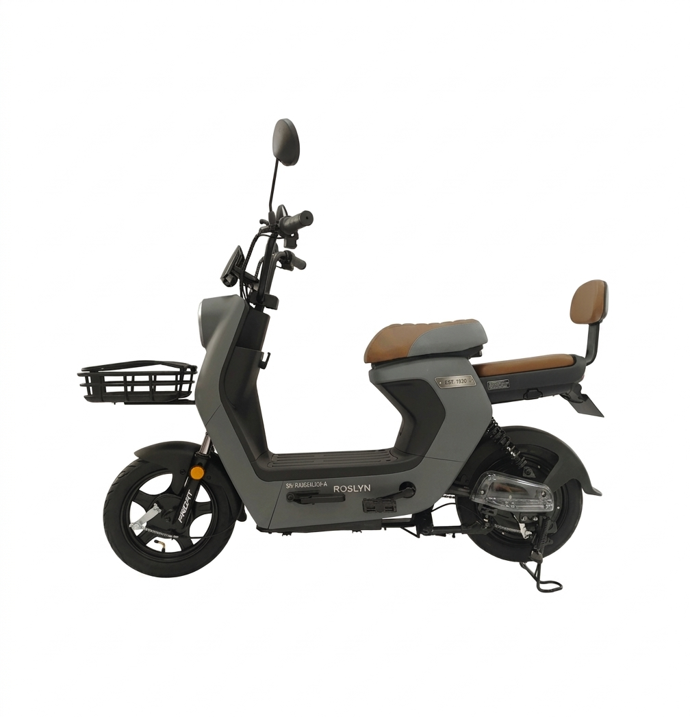 Bicicleta Eléctrica Profit Roslyn - Motor 350W/25 Km/h