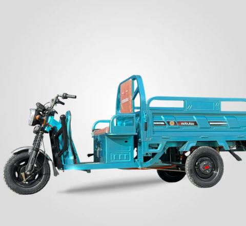 TRIMOTO ELÉCTRICA MOBULAA C1 - TYSON MOTOR 650W